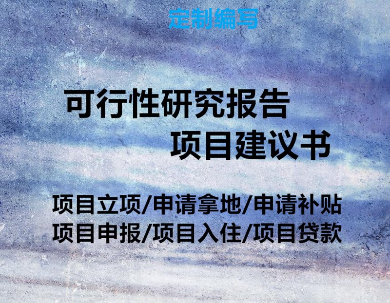 项目可行性研究报告